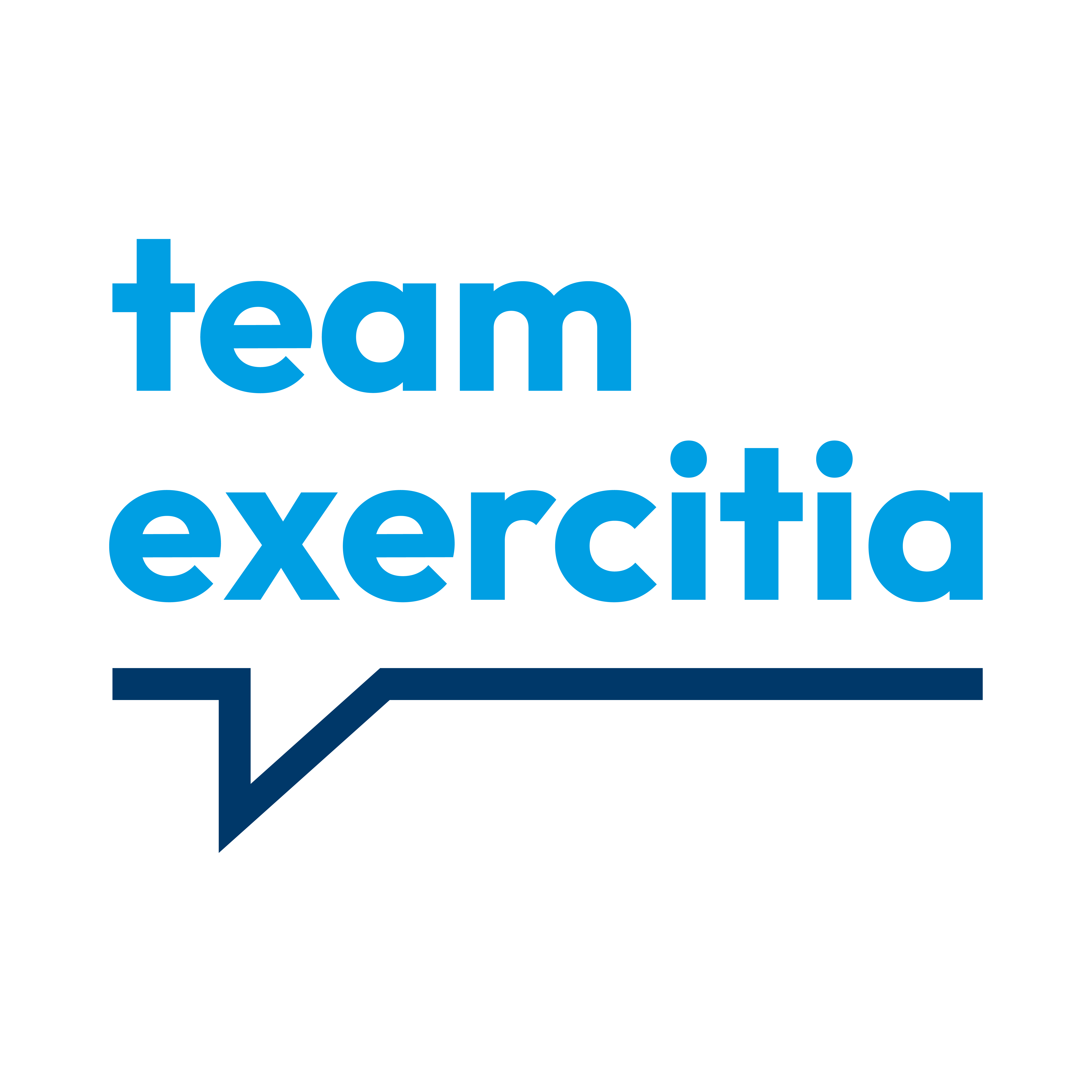2025 12 03 team exercitia Logo
